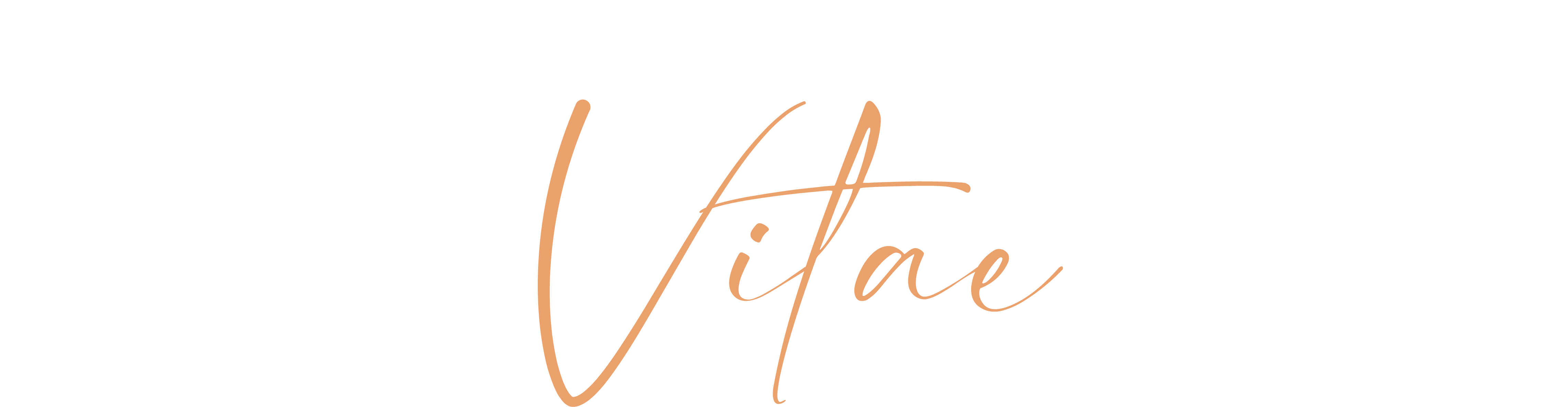 Curriculum Vitae MVNU ART